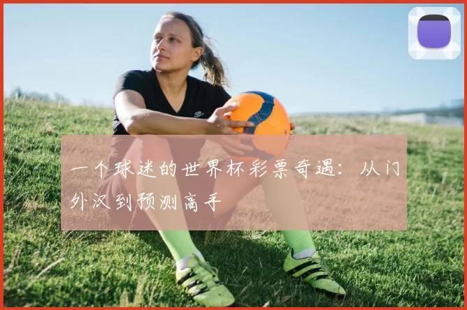 一个球迷的世界杯彩票奇遇:从门外汉到预测高手