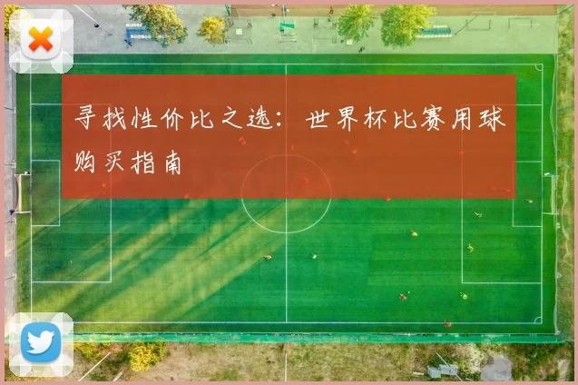 寻找性价比之选：世界杯比赛用球购买指南