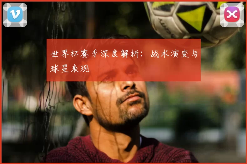 世界杯赛季深度解析：战术演变与球星表现