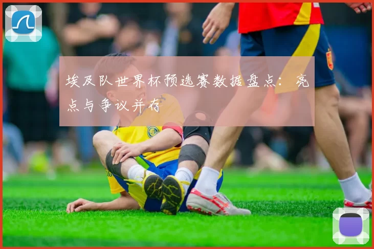 埃及队世界杯预选赛数据盘点:亮点与争议并存