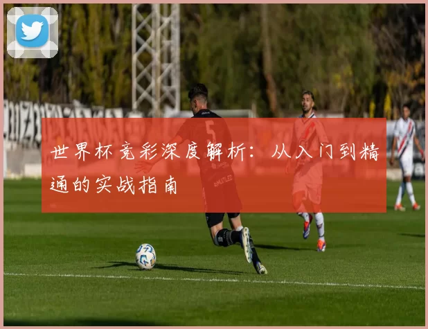 世界杯竞彩深度解析：从入门到精通的实战指南