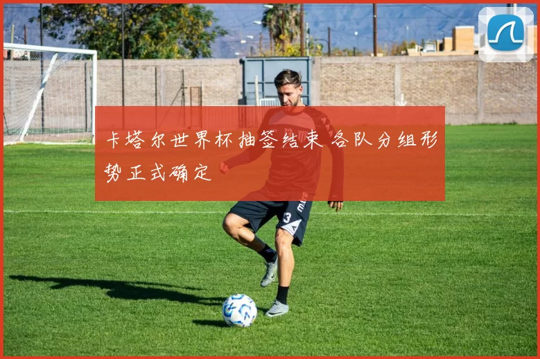 卡塔尔世界杯抽签结束 各队分组形势正式确定