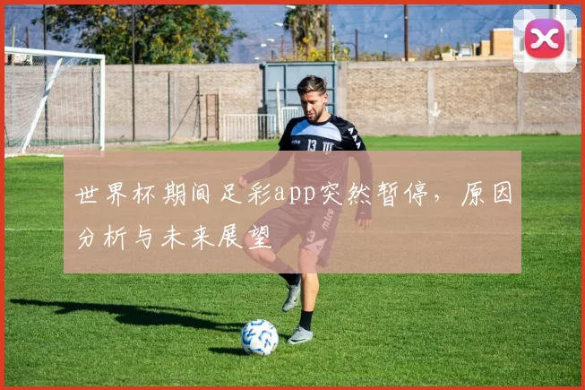 世界杯期间足彩app突然暂停，原因分析与未来展望