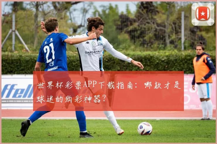 世界杯彩票APP下载指南：哪款才是球迷的购彩神器？
