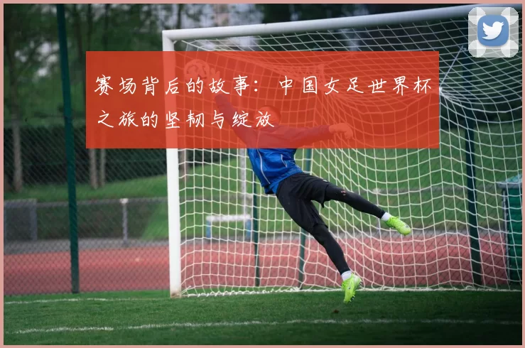 赛场背后的故事：中国女足世界杯之旅的坚韧与绽放