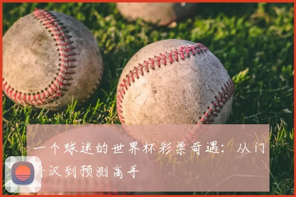 一个球迷的世界杯彩票奇遇：从门外汉到预测高手